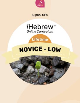 Novice-Low (Lifetime)
