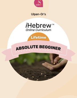 Absolute Beginner (Lifetime)