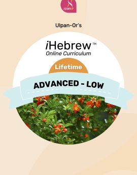Advanced-Low (Lifetime)