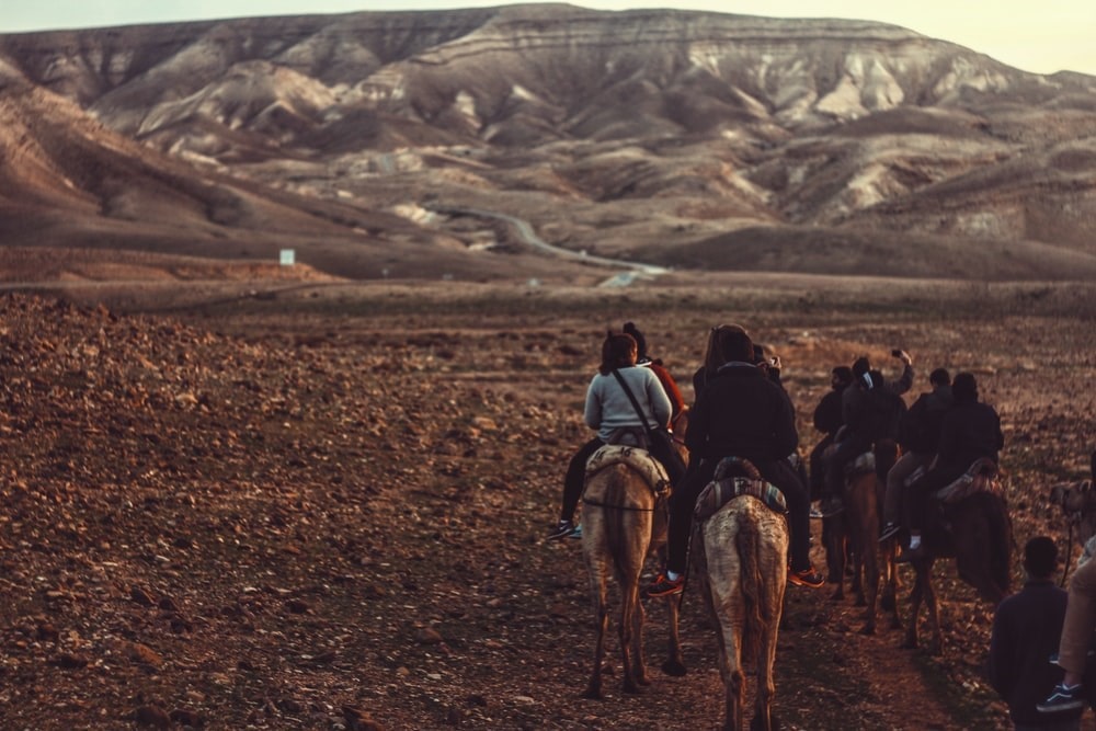 People riding on horseback in the Negev desert