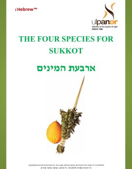 Sukkot Beginners (Annual)
